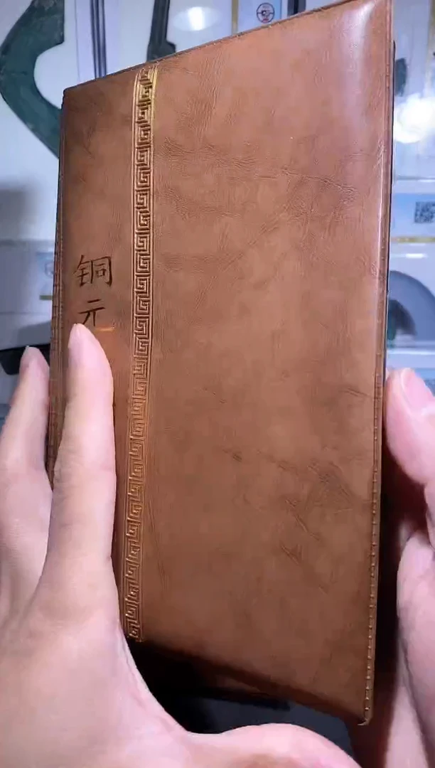 【闪购商品】铜品泉 铜元版别册