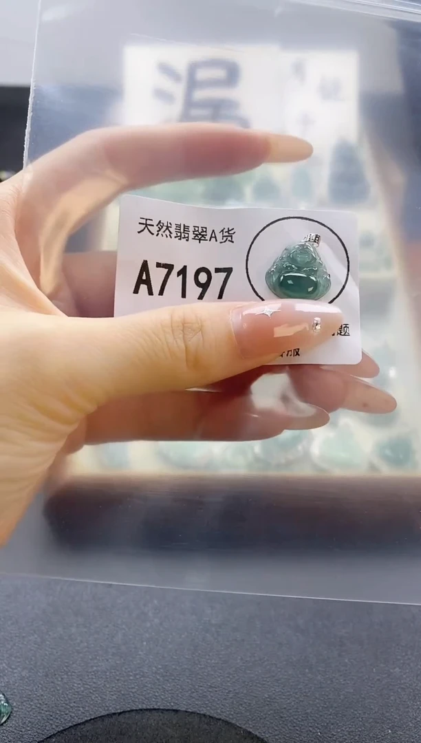 翡翠未镶嵌吊坠(赠链)天然翡翠A货