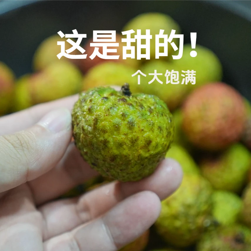 青皮荔枝【这味道绝啊！】看着酸吃着甜