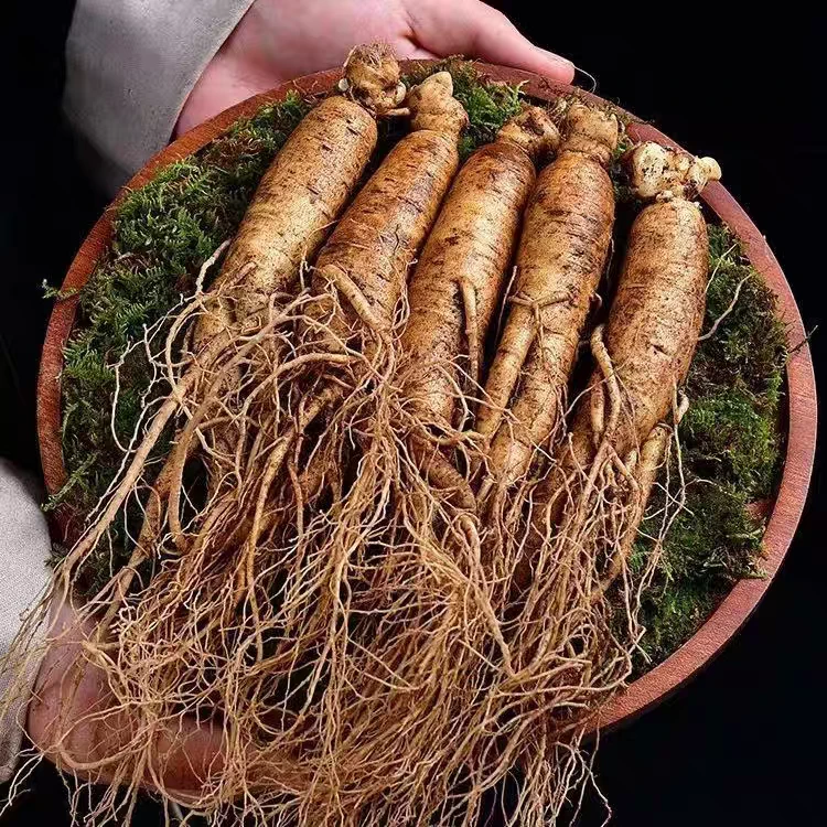 7号，挖断须子的，带疤，带锈的，鲜人参