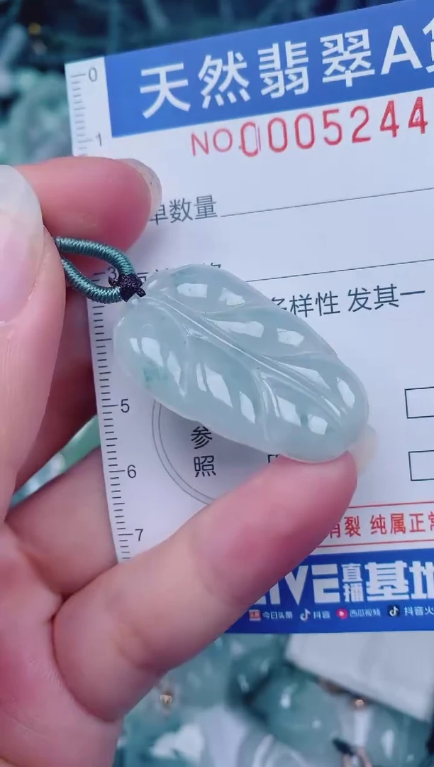 颈饰未镶嵌翡翠00005244