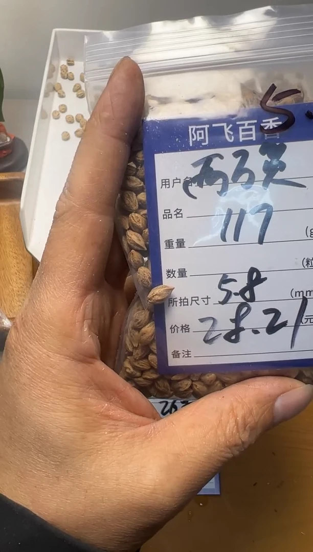 【闪购商品】柏香籽/百香籽吊坠28.21