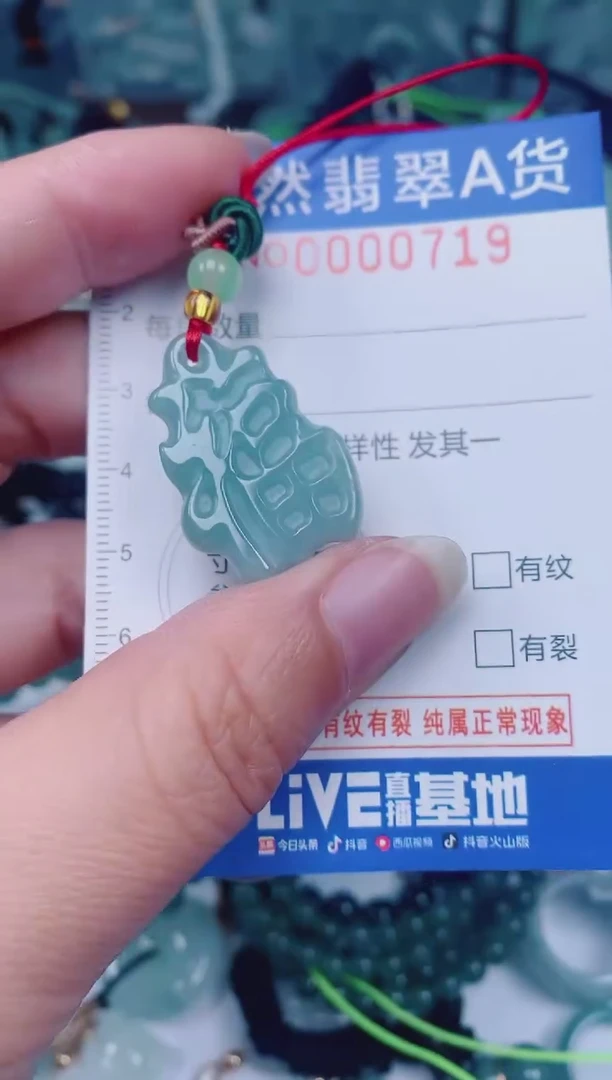 颈饰未镶嵌翡翠00000719