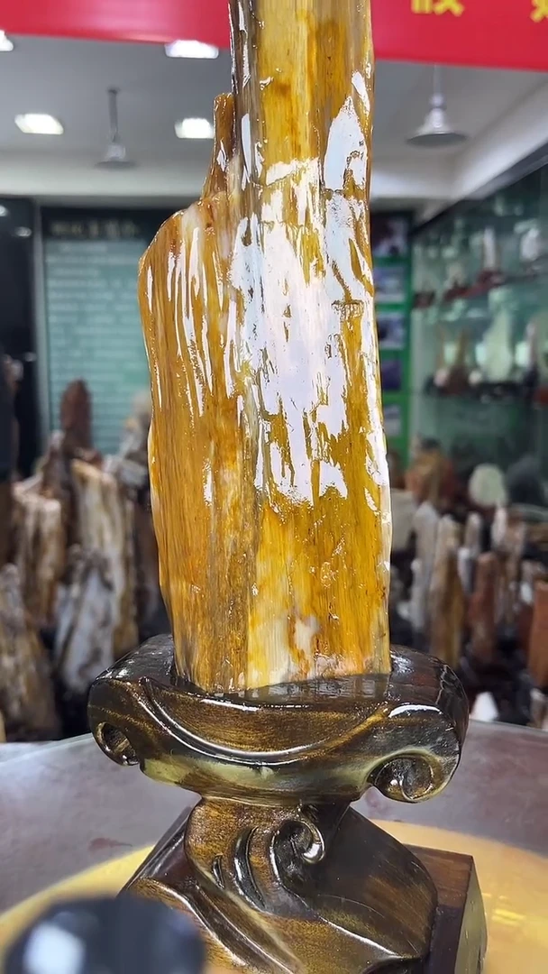 未镶嵌珠宝奇石硅化玉缅甸天然树化玉摆件