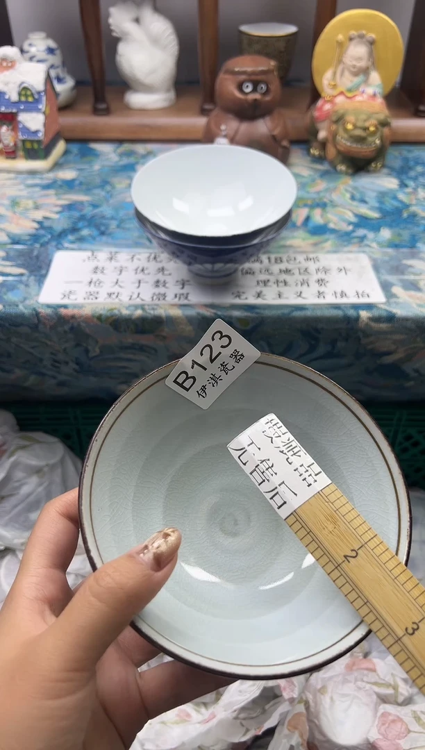 瓷片D*        B123