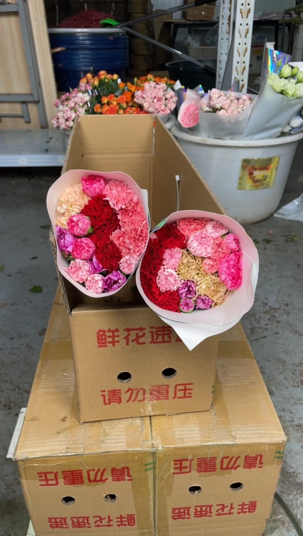 单头混色康乃馨40枝