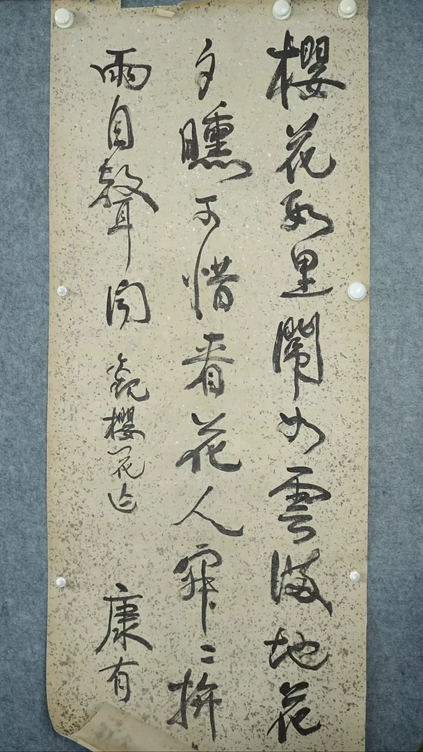 竖款【辽拍】康先生-书法