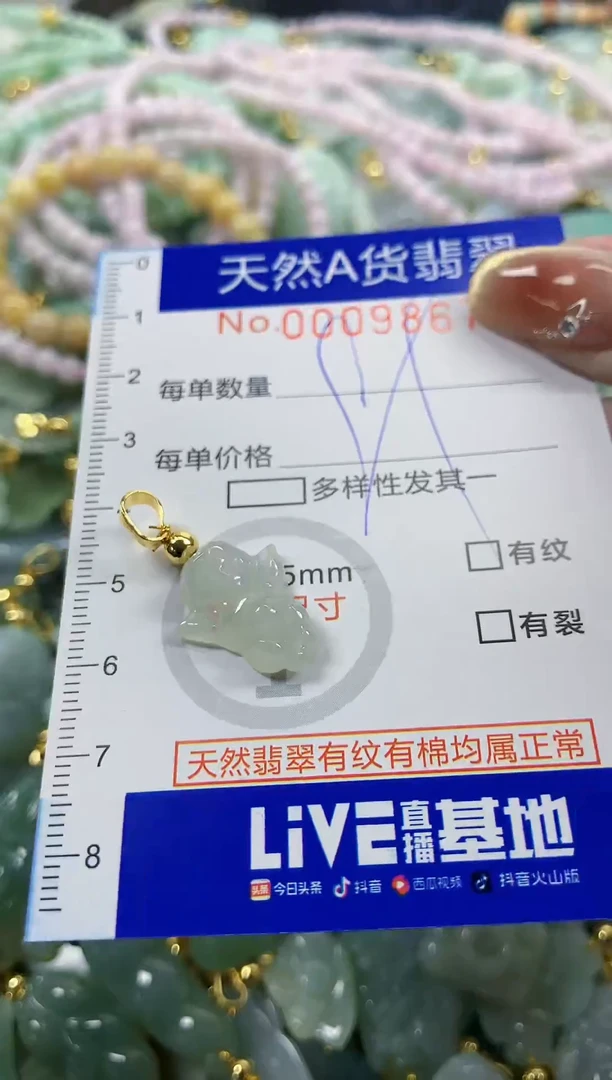 颈饰未镶嵌翡翠天然A货翡翠