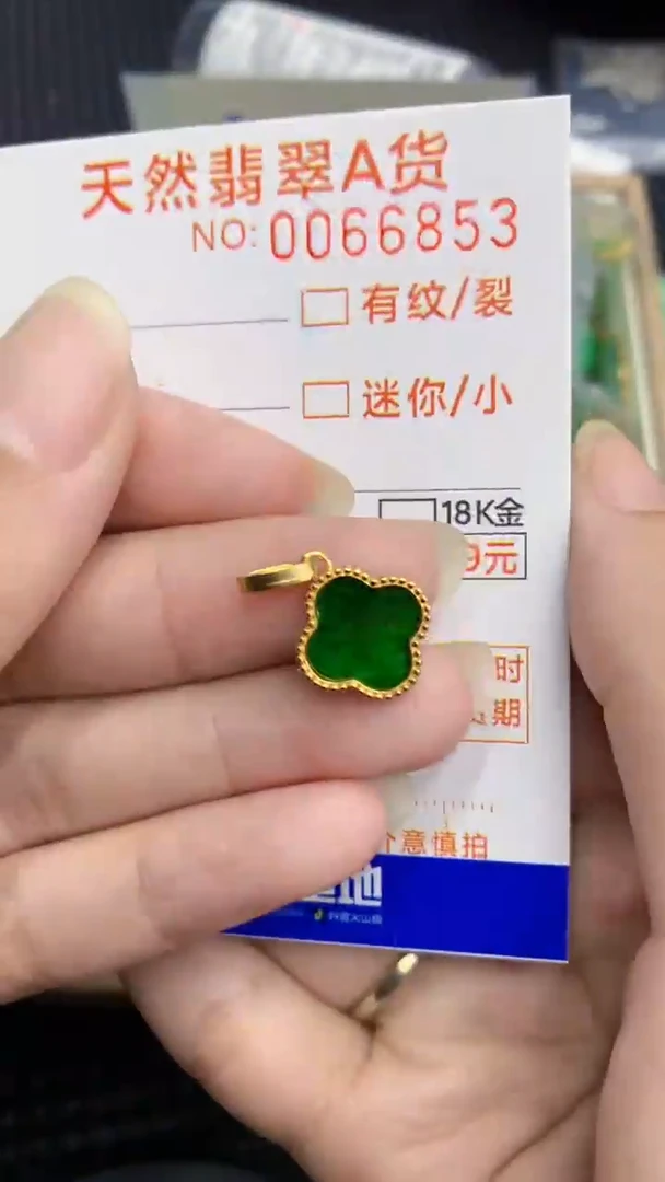 【闪购商品】翡翠颈饰银S925镶嵌            8