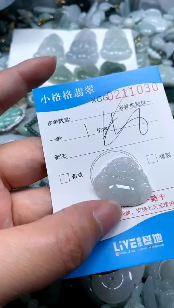 【闪购商品】翡翠颈饰未镶嵌闪购商品0211030