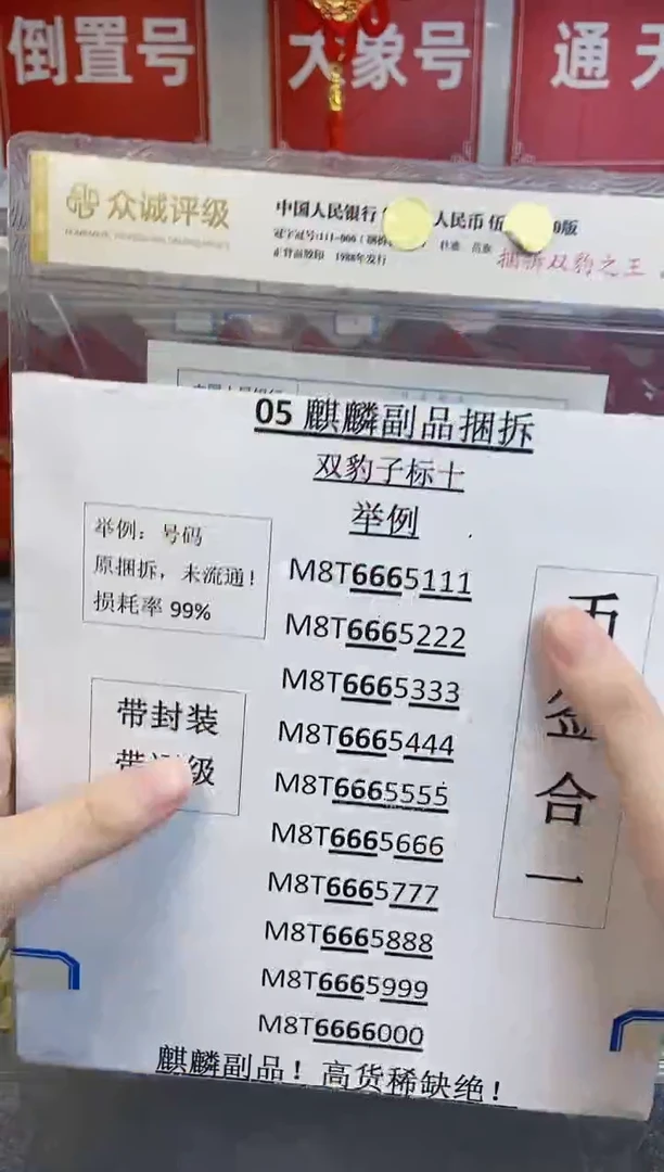 双豹子【捆拆双豹之王】
