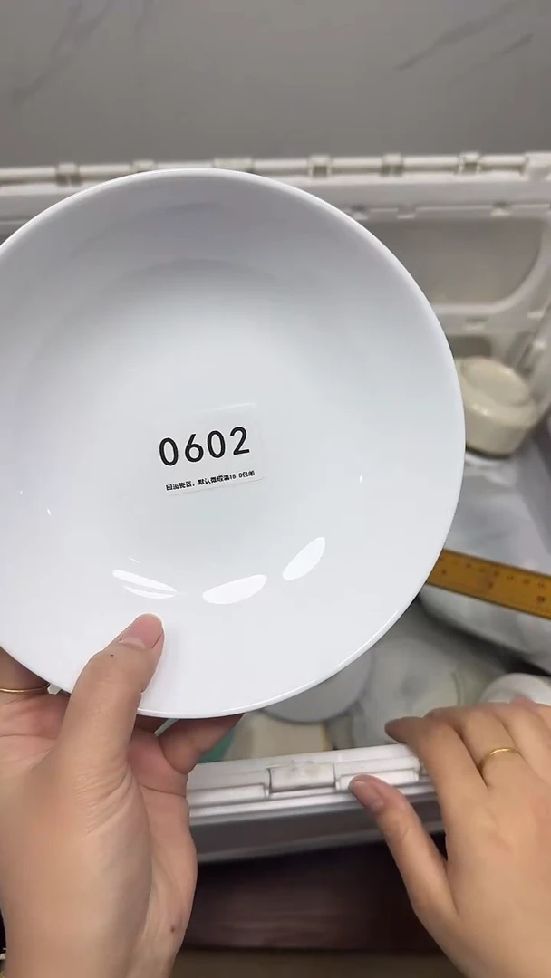 【闪购商品】602回流瓷器，默认微瑕18.8包邮