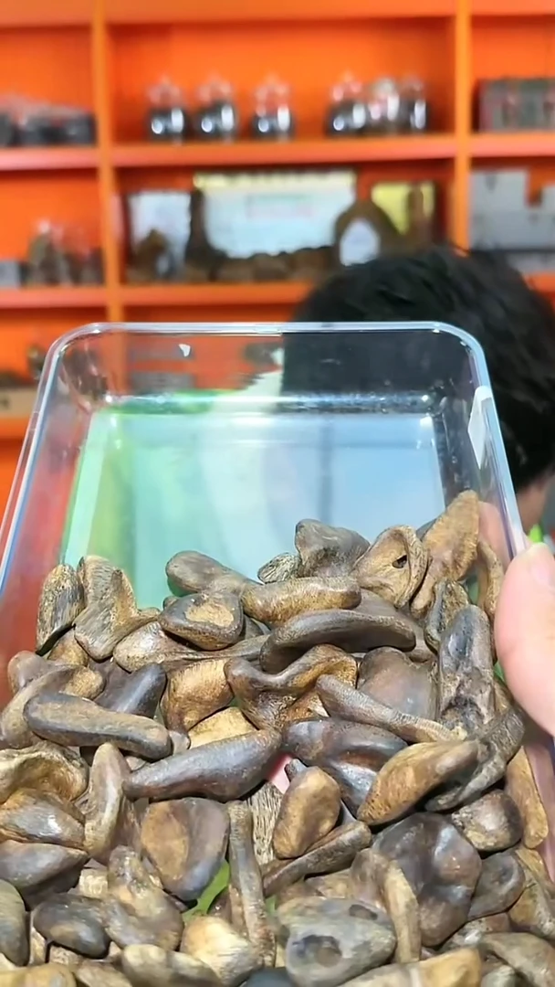 沉香吊坠183号海南沉水包头1粒多样性发一