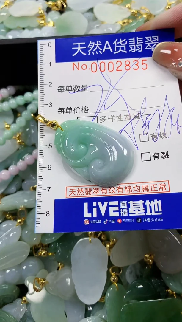 颈饰未镶嵌翡翠天然A货翡翠