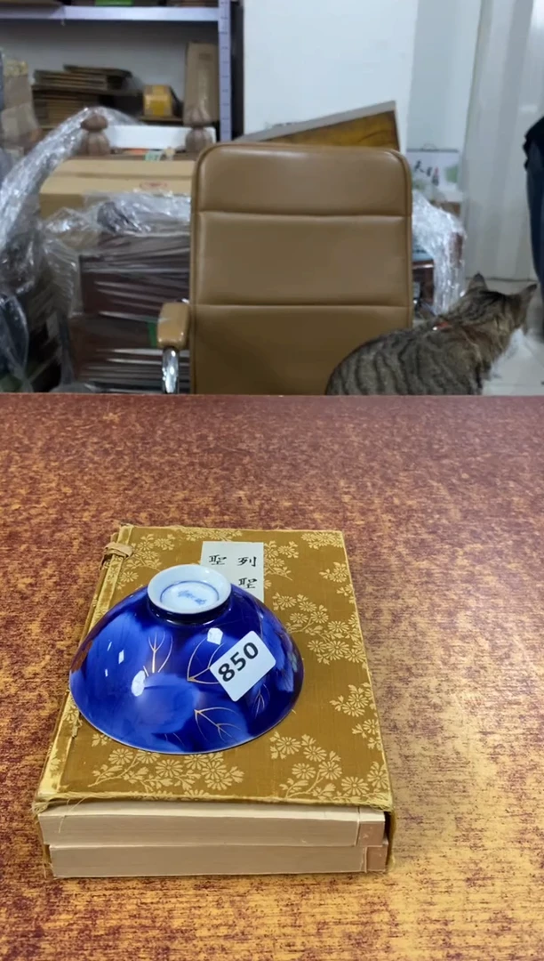 瓷片850小林轩欢迎您