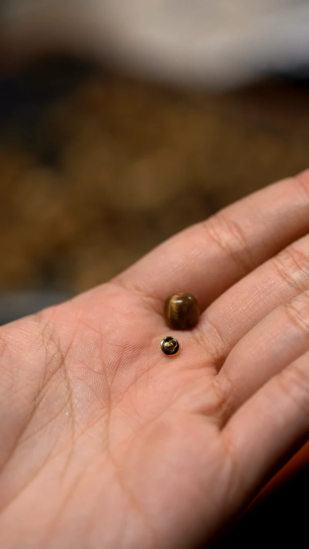 【闪购商品】维腊木（绿檀）手串/手链绿檀单圈