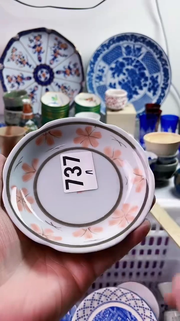 【闪购商品】瓷片777777777n 737