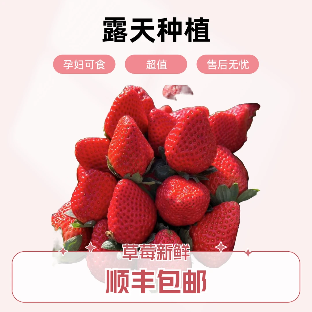 【顺丰包邮】A大凉山露天奶油草莓新鲜采摘露天8甜2酸非丹东99红颜