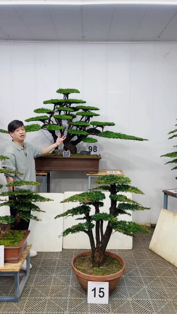 无花朵一物一拍一物一拍