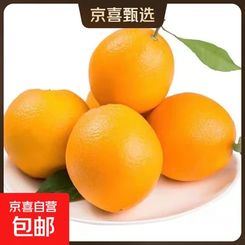带枝叶正宗江西赣州赣南脐橙10斤当季现摘新鲜甜橙子孕妇水果产地