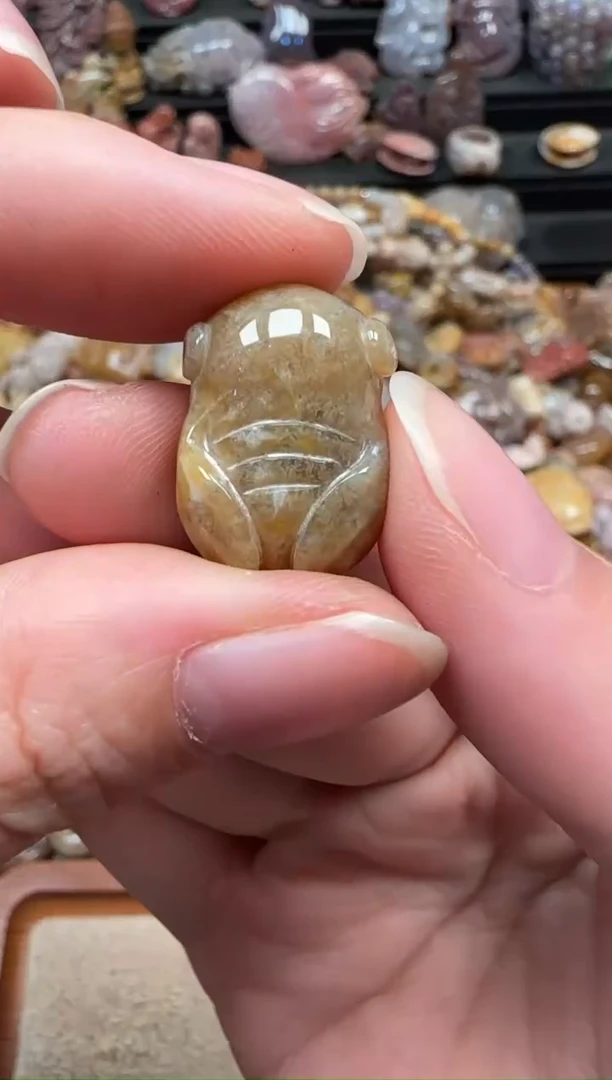 颈饰未镶嵌硅化珊瑚（珊瑚玉）527