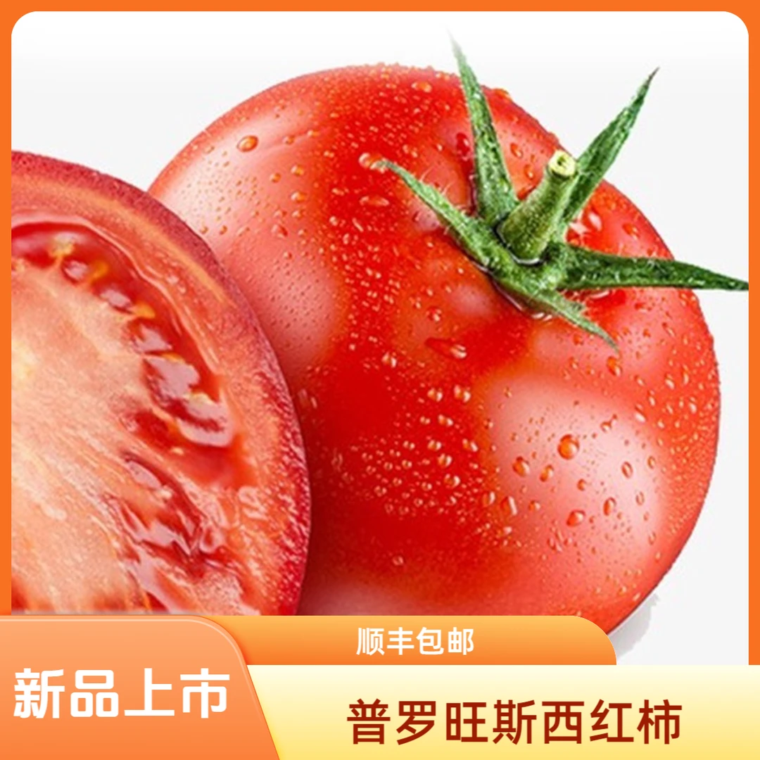 【顺丰包邮】单规格普罗旺斯水果西红柿自然成熟沙瓤心可生吃番茄
