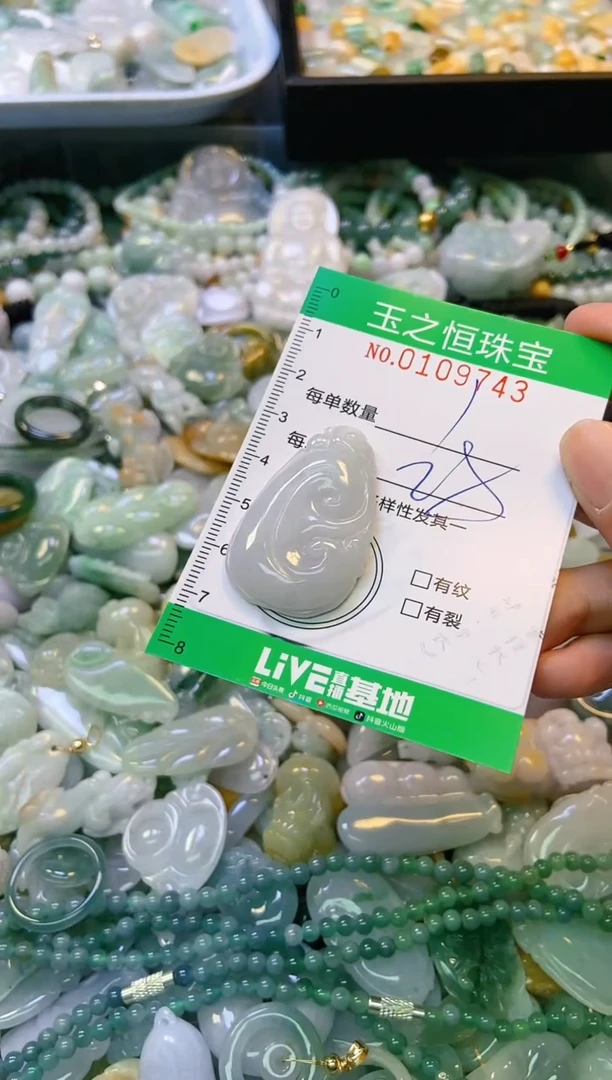 翡翠未镶嵌颈饰闪购0109743