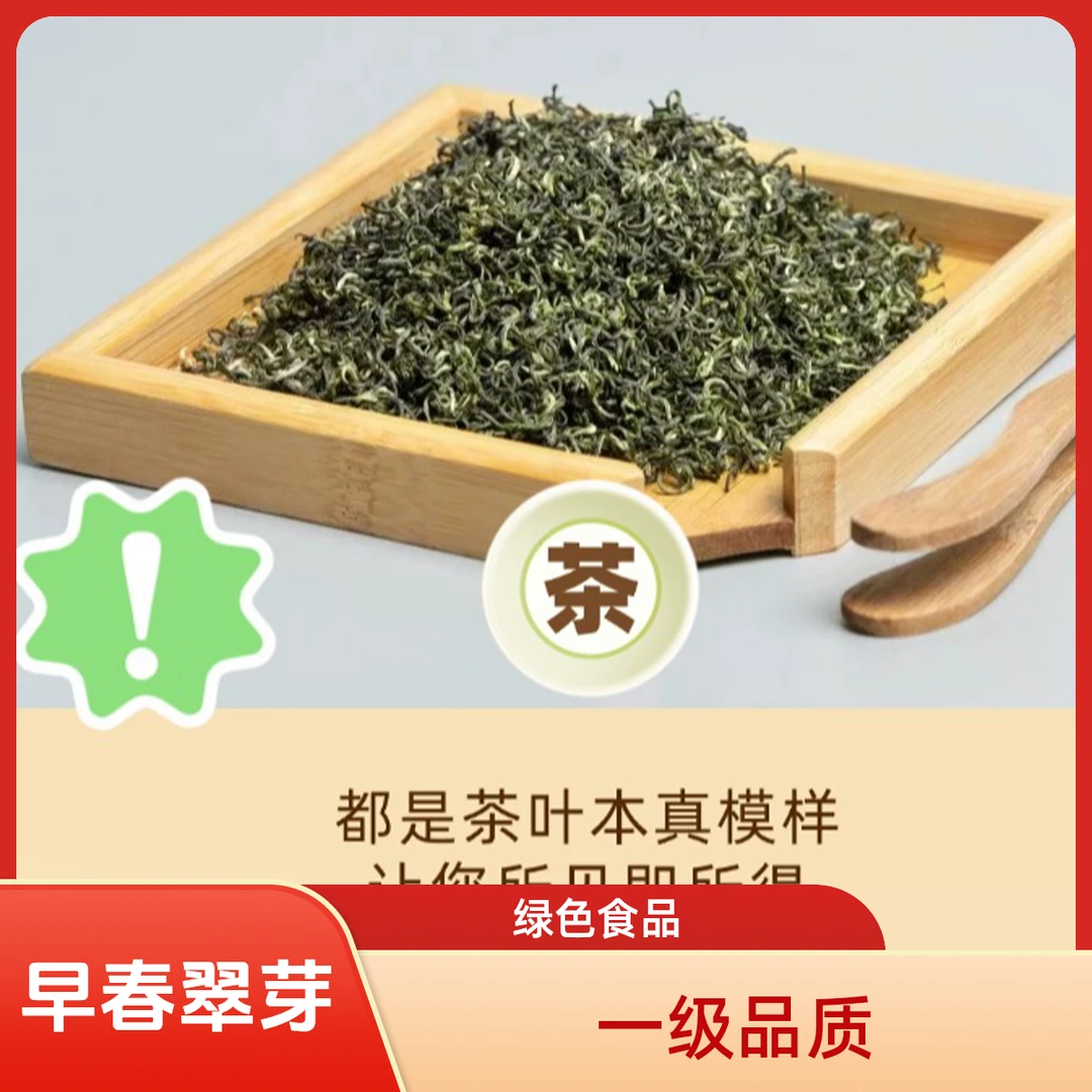 贵州早春翠芽精品绿茶