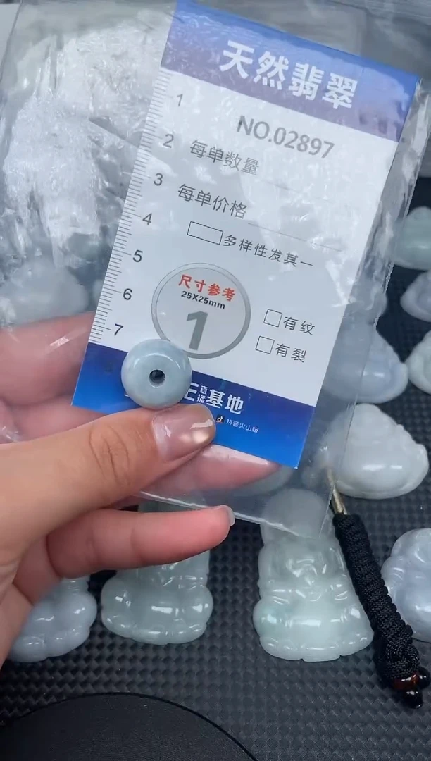 颈饰未镶嵌翡翠纯天然A货翡翠2897