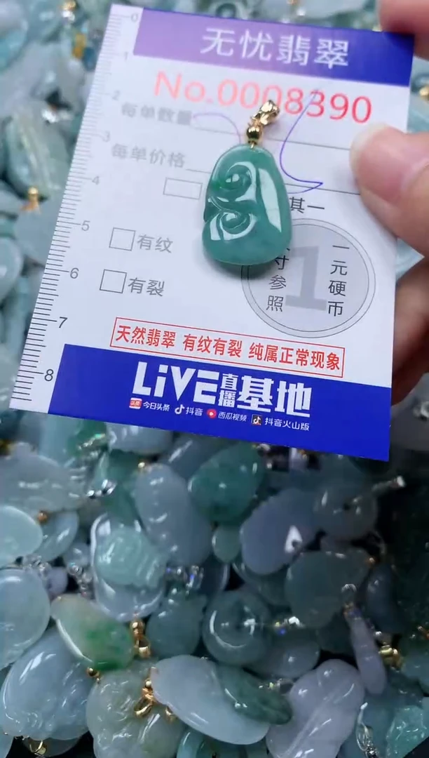 颈饰未镶嵌翡翠8390