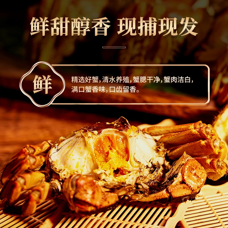 SU鲜活 正宗盘锦河蟹 全母蟹  1.3-1两 2.5斤  顺丰空运包邮