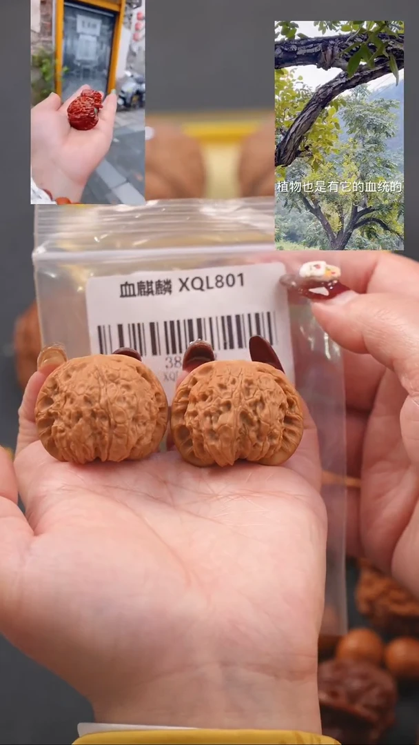 【闪购商品】文玩核桃吊坠38血麒麟狮子头