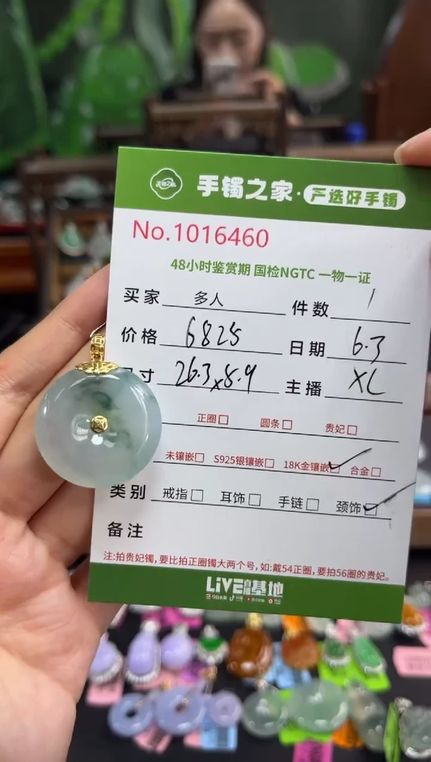 翡翠18K金镶嵌颈饰多人