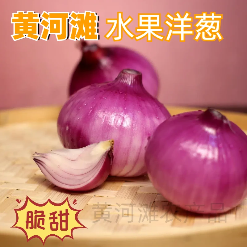 水果洋葱新鲜2025山东二红自种甜嫩微辣可生吃凉拌新果5斤装