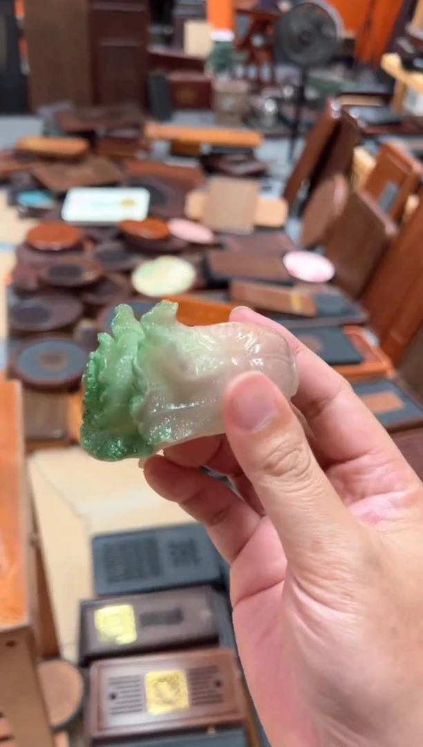 福利福利福利福利白菜茶宠