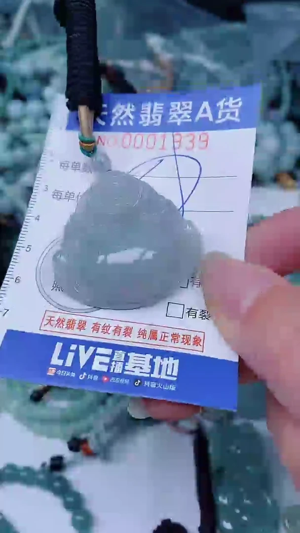 翡翠未镶嵌颈饰00001939