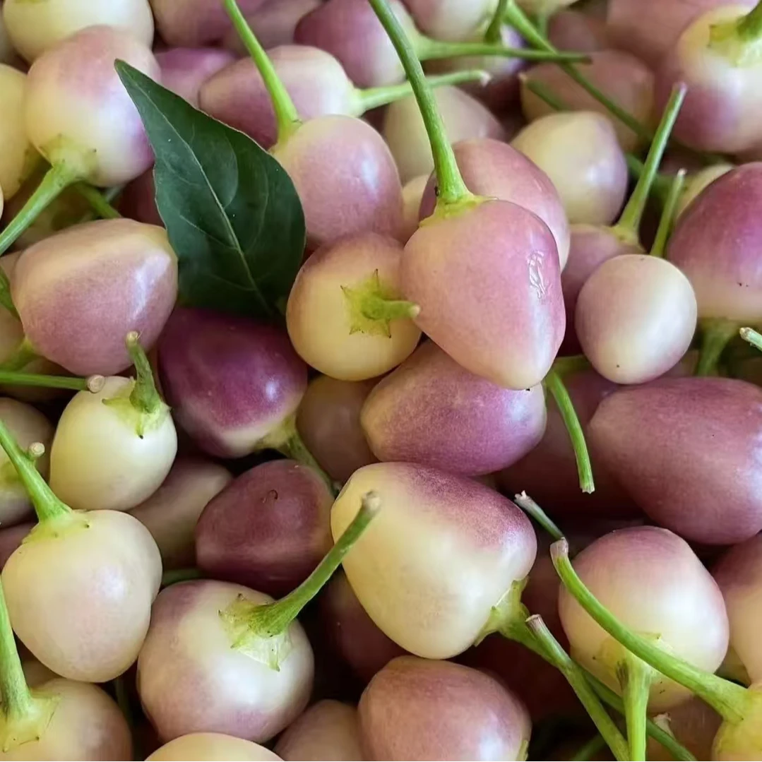 云南新鲜七彩椒五彩椒可腌制泡椒脆嫩肉厚脆爽