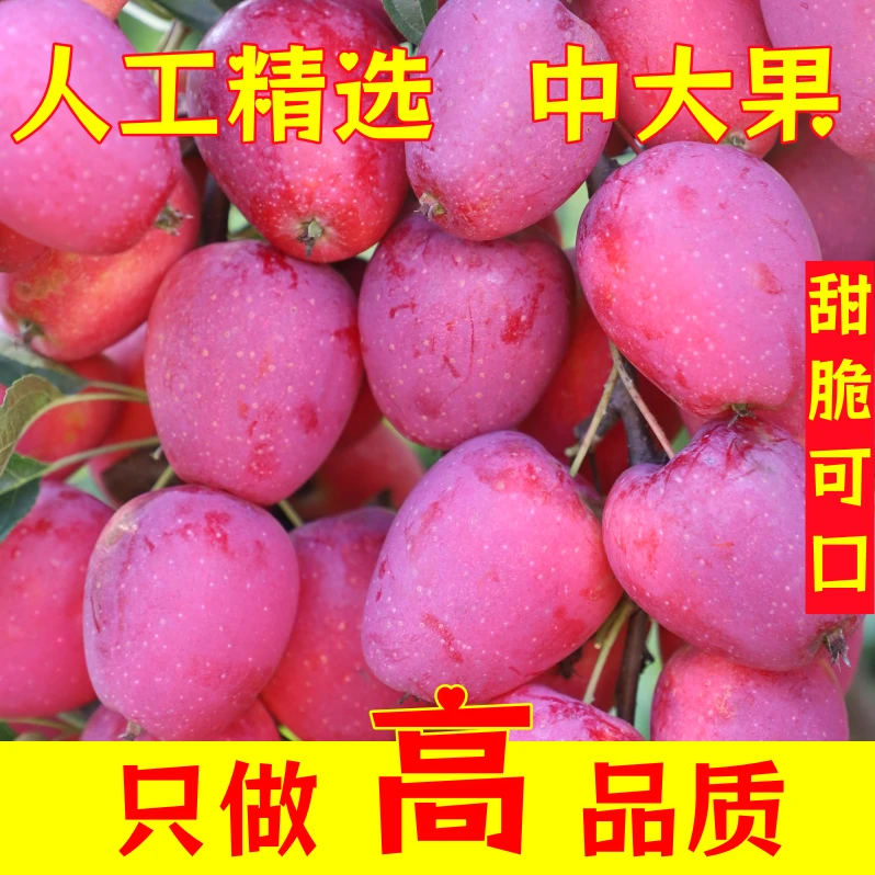 专属【中大果】东北特产鸡心果嘎嘎甜脆爆汁新鲜采摘当季水果