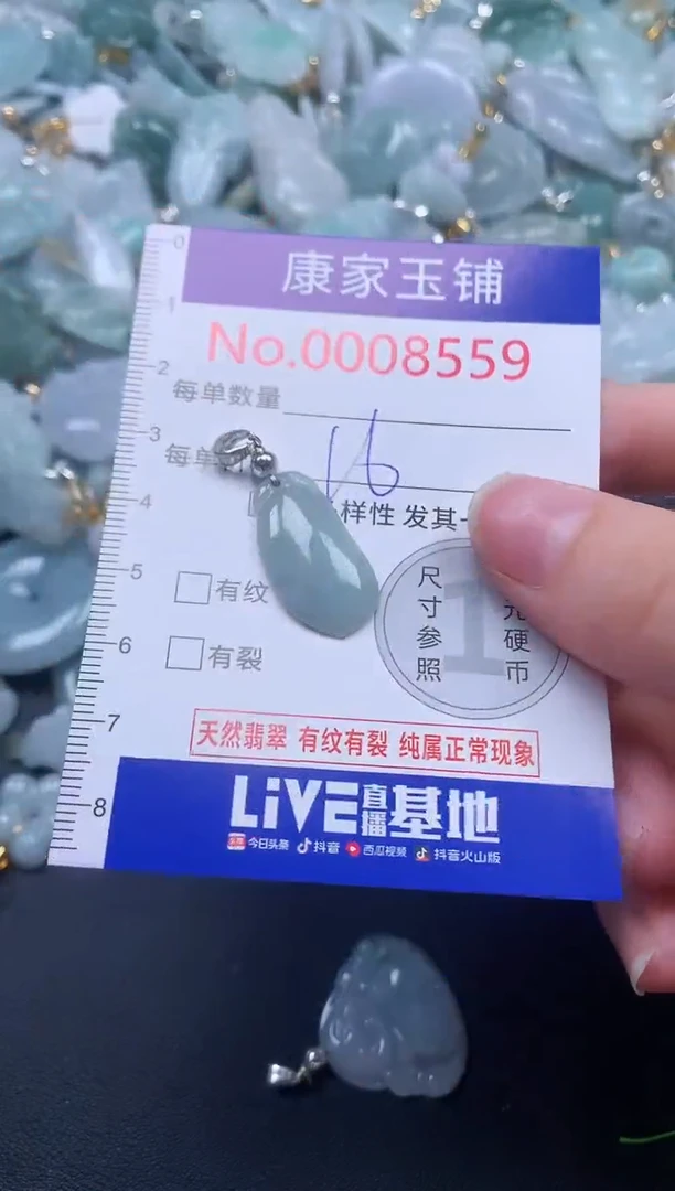 颈饰未镶嵌翡翠8559