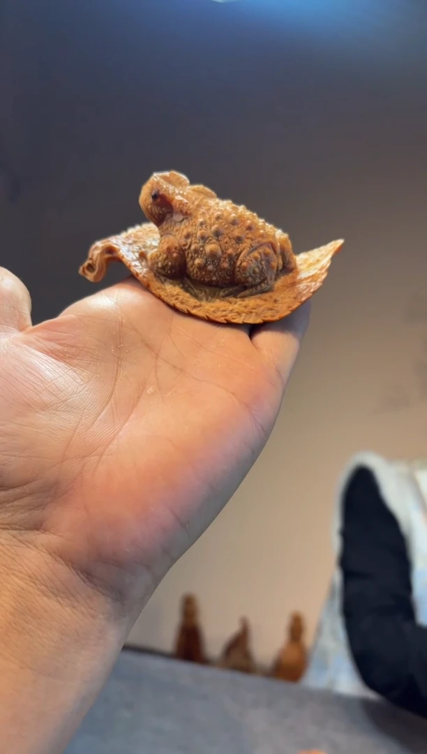 木旗****旋崖柏崖柏崖柏