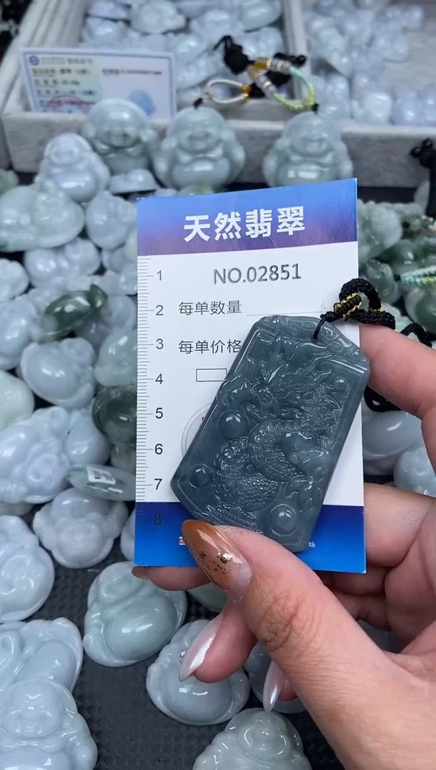 颈饰未镶嵌翡翠纯天然A货翡翠2851