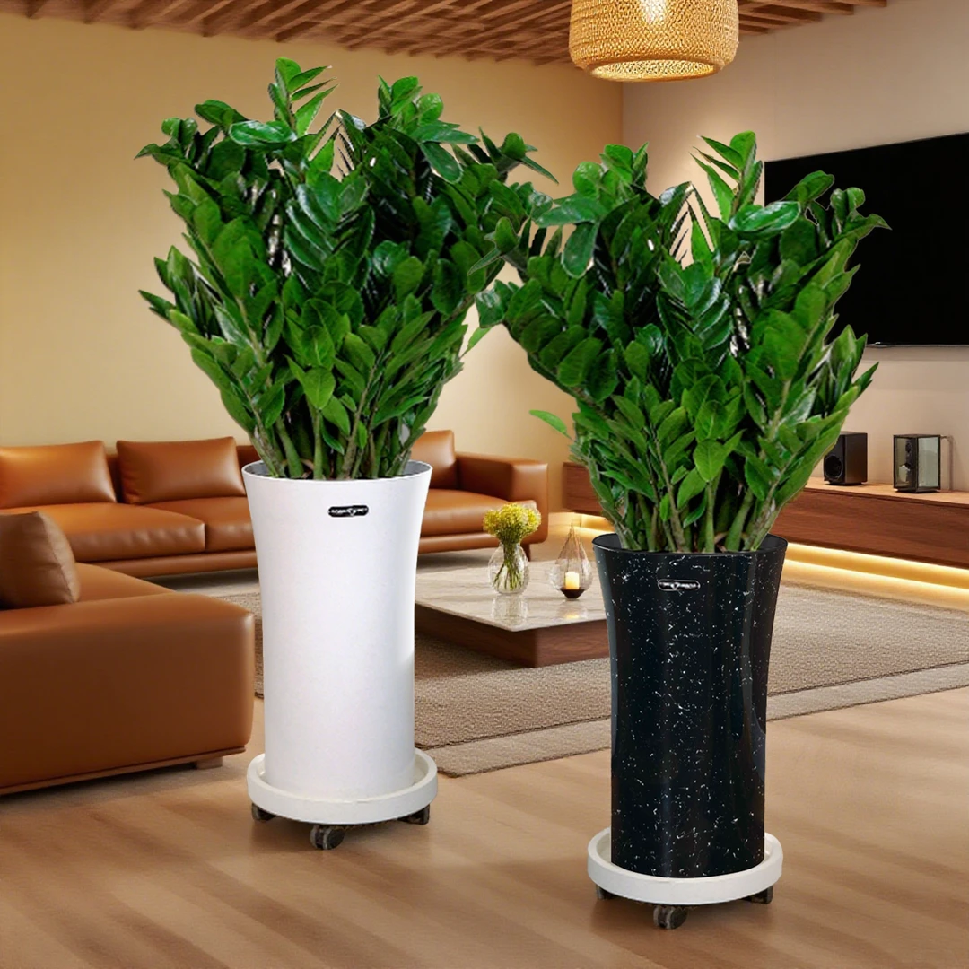 1.2-1.4米落地款金钱树好养美观带盆室内绿植顺丰送货上门