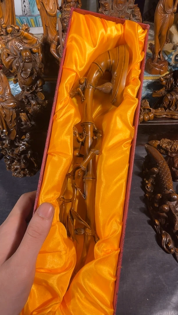 黄杨木11111111111