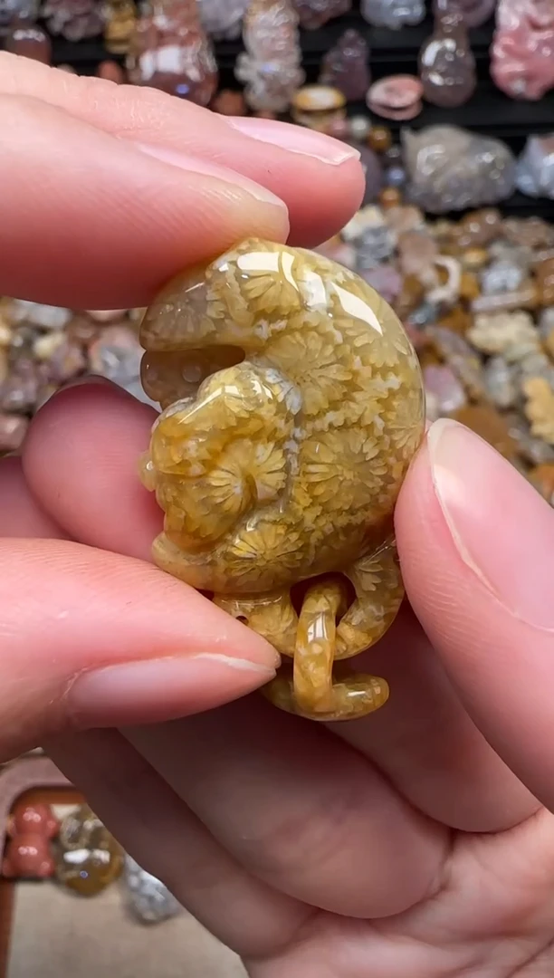 颈饰未镶嵌硅化珊瑚（珊瑚玉）182