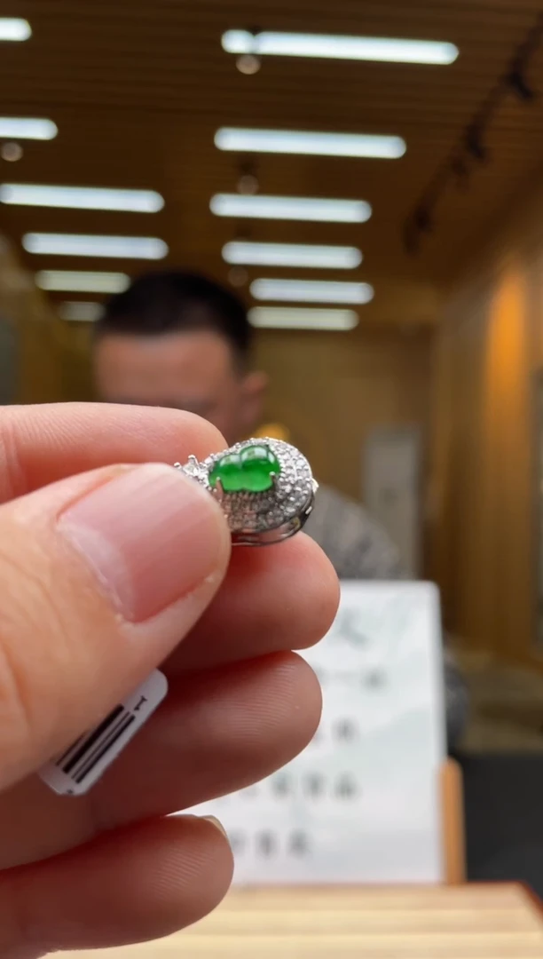 【闪购商品】翡翠颈饰未镶嵌********500