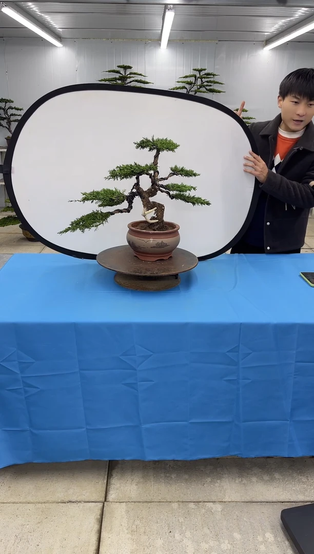 无花朵00000000000