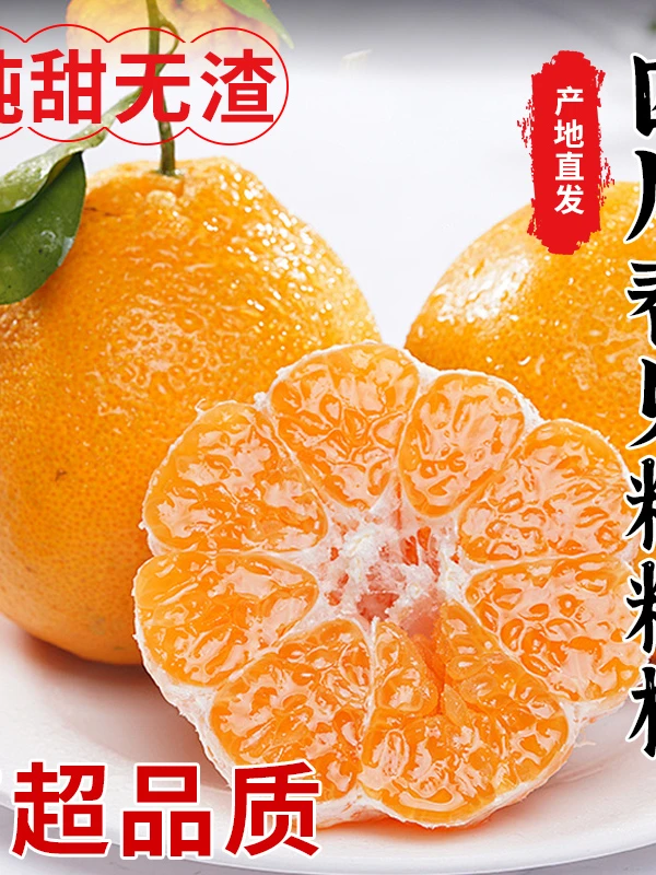 四川正宗春见耙耙柑 皮薄肉厚手剥橙坏果包赔自然成熟一份酸