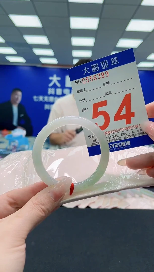 未镶嵌手镯翡翠AAAAAAAAA