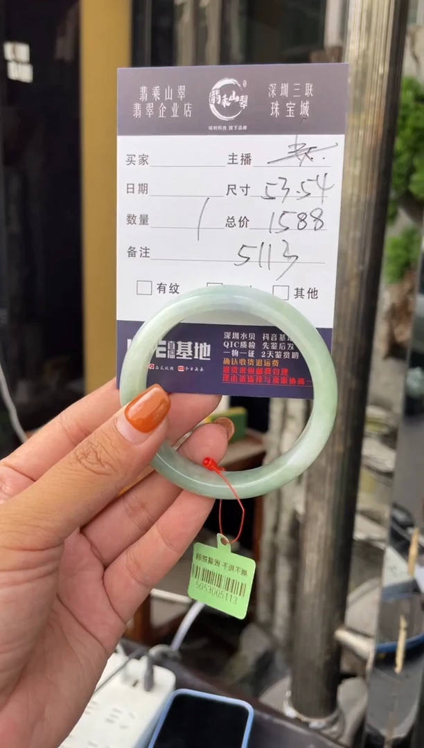 未镶嵌手镯翡翠C 54正圈 5113