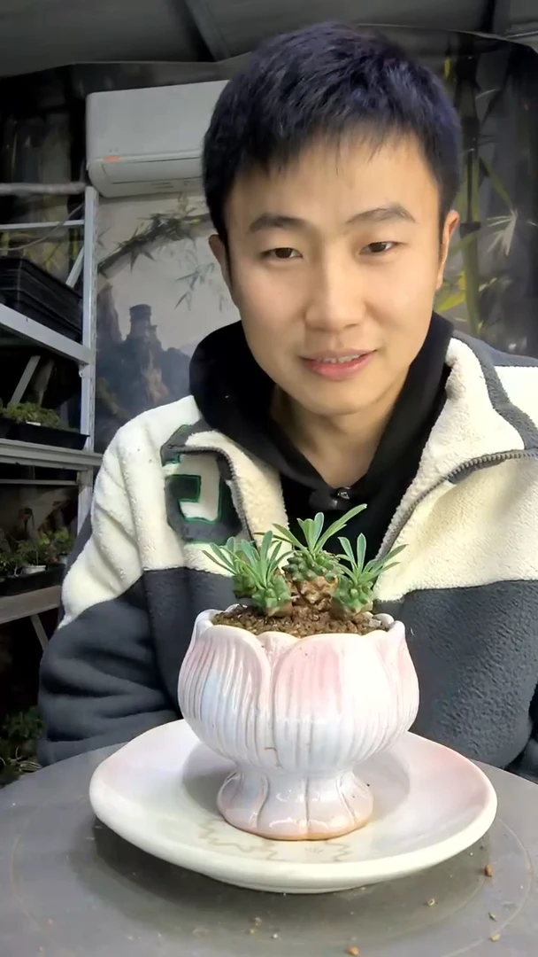 用****5中青园艺一物一拍18